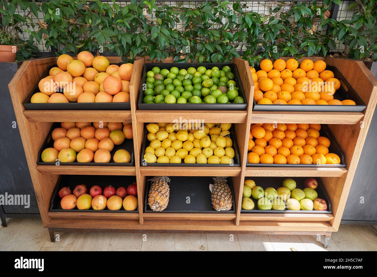 Holzständer mit verschiedenen Zitrusfrüchten zur Auswahl. Stockfoto