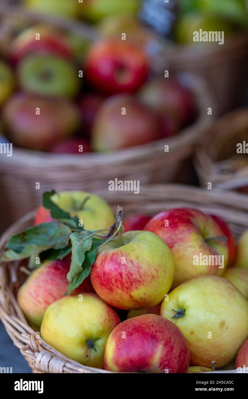 Frische rosig rote saftige Äpfel, frisch gepflückte Äpfel, biologisch angebaute Äpfel, Äpfel in Körben, frische Äpfel auf einem Marktstand. Stockfoto
