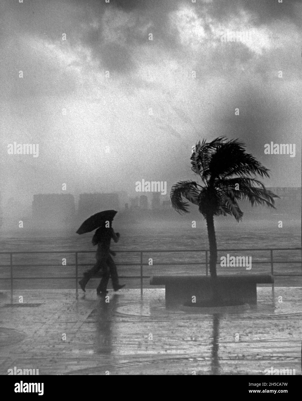 Zwei Pendler eilen an der Küste der Insel Hongkong nahe der Star Ferry entlang, während sich im Herbst 1972 ein tropischer Sturm nähert. Foto von Bernie Henshaw Stockfoto