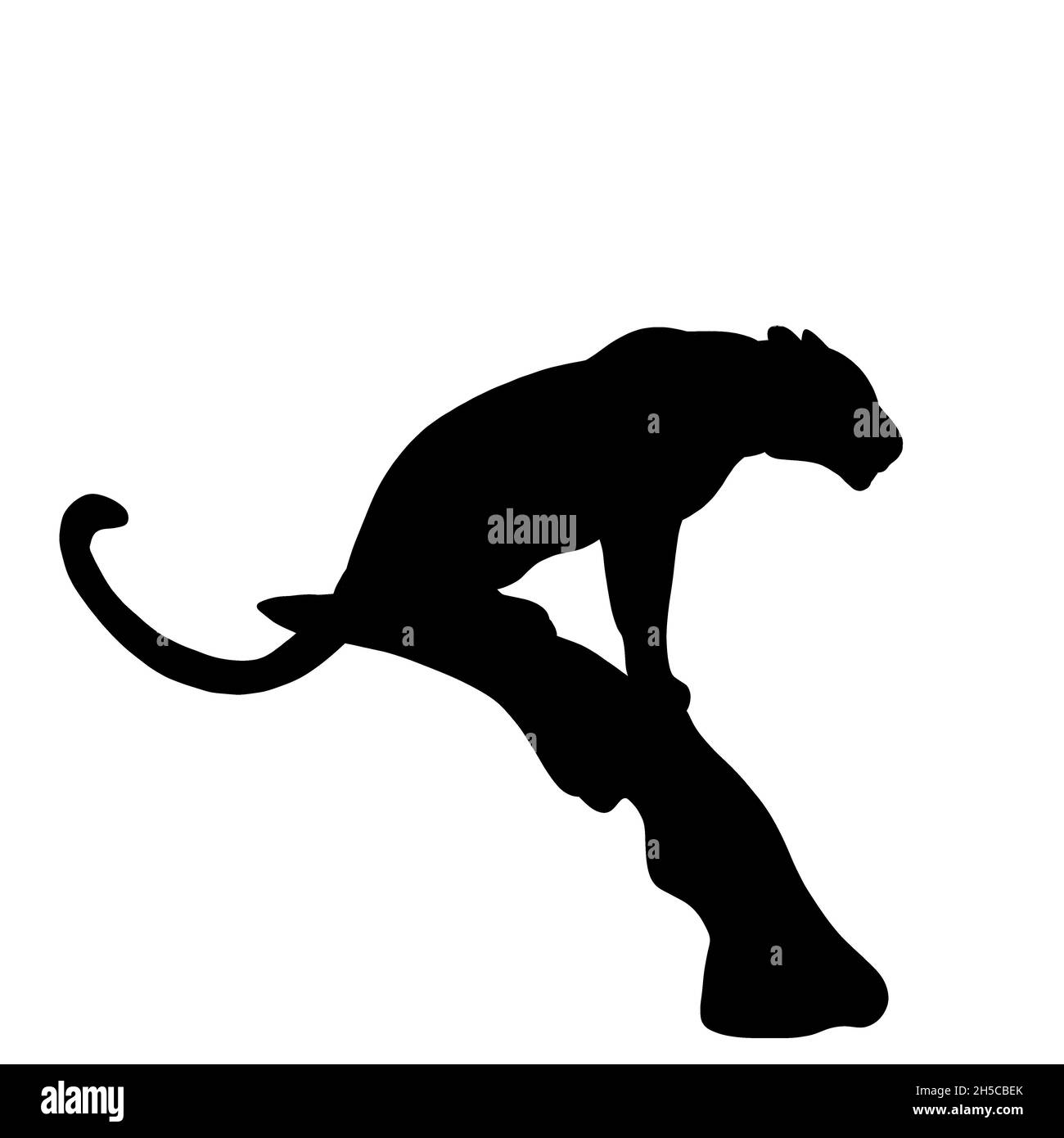 Ein Panther in einem Baum ist auf der Jagd nach Beute. Mondnacht in der afrikanischen Savanne Stockfoto