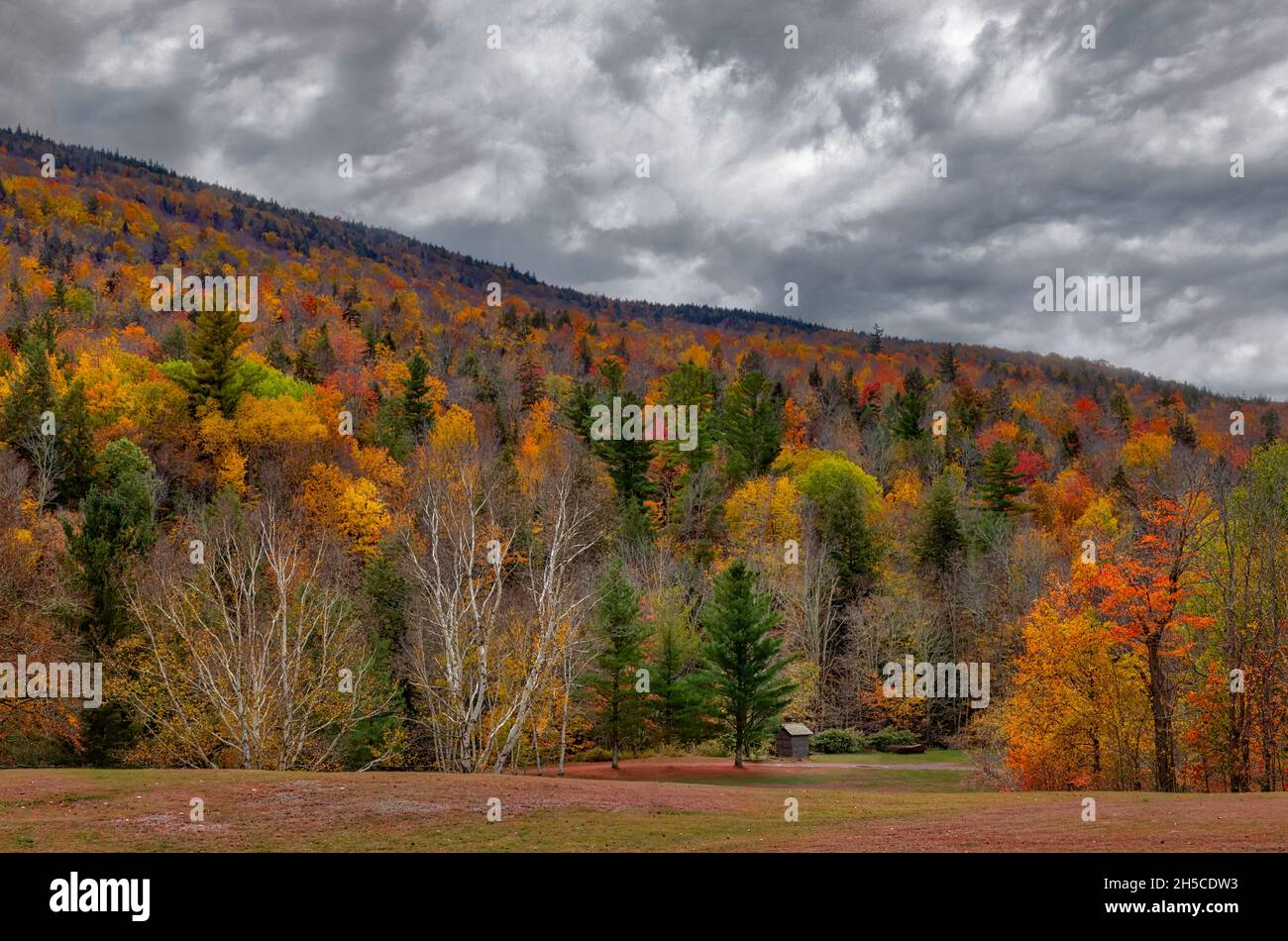 Hunter Mountain Catskill NY - farbenfrohe Herbstfärbung bedeckt den Hunter Mountain in der Catskill-Region des Hudson Valley in New York. Ein kleiner Schuppen kann b Stockfoto