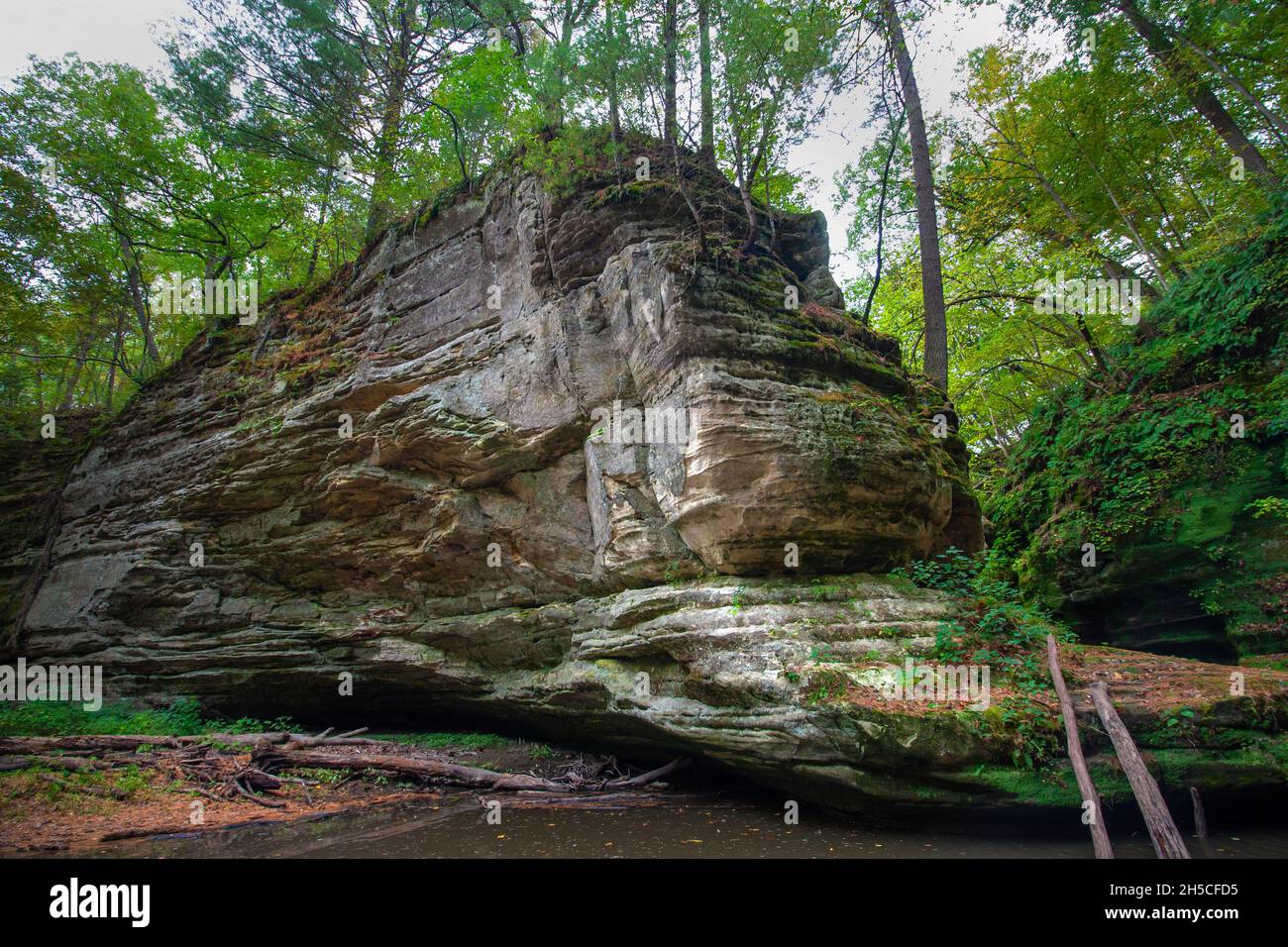 Canyon Wall Am Ende Des Illinois Canyon - Hungered Rock State Park Stockfoto