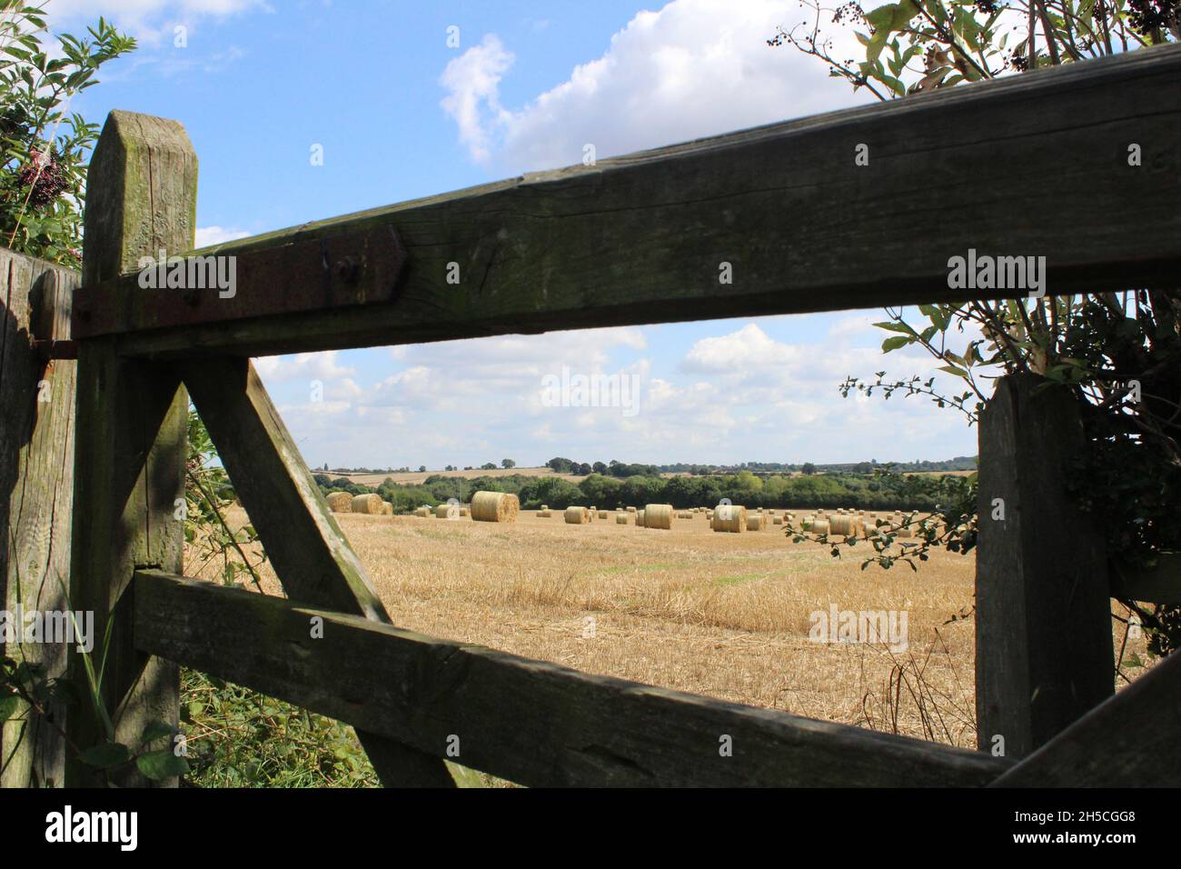 Ein Sommertag mit runden Heuballen, die auf Feldern mit blauem Himmel und weißen Wolken stehen, die darauf warten, in der Nähe von Wakefield West Yorkshire in Großbritannien geerntet zu werden Stockfoto