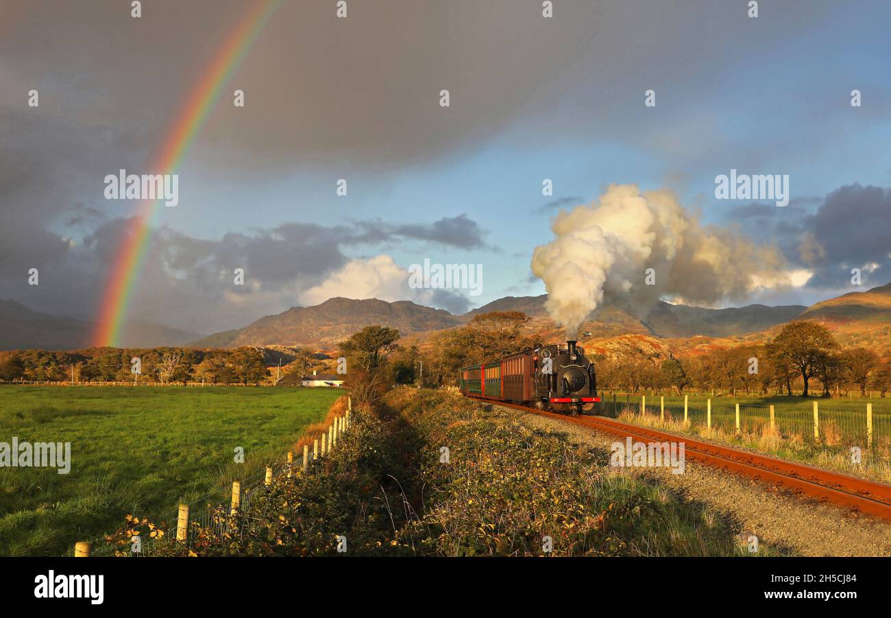 Welsh Pony No5 fährt mit der Welsh Highland Railway unter den Rainbow Nr Pont Croesor - 3.10.21 Stockfoto