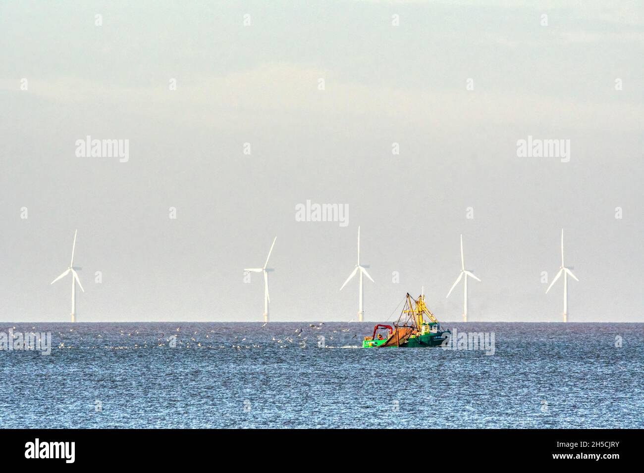 Das Trawler-Bagger-Fischerboot Jolene von King's Lynn fischt vor dem Offshore-Windpark Race Bank. Vor der Nord-Norfolk-Küste bei Brancaster. Stockfoto