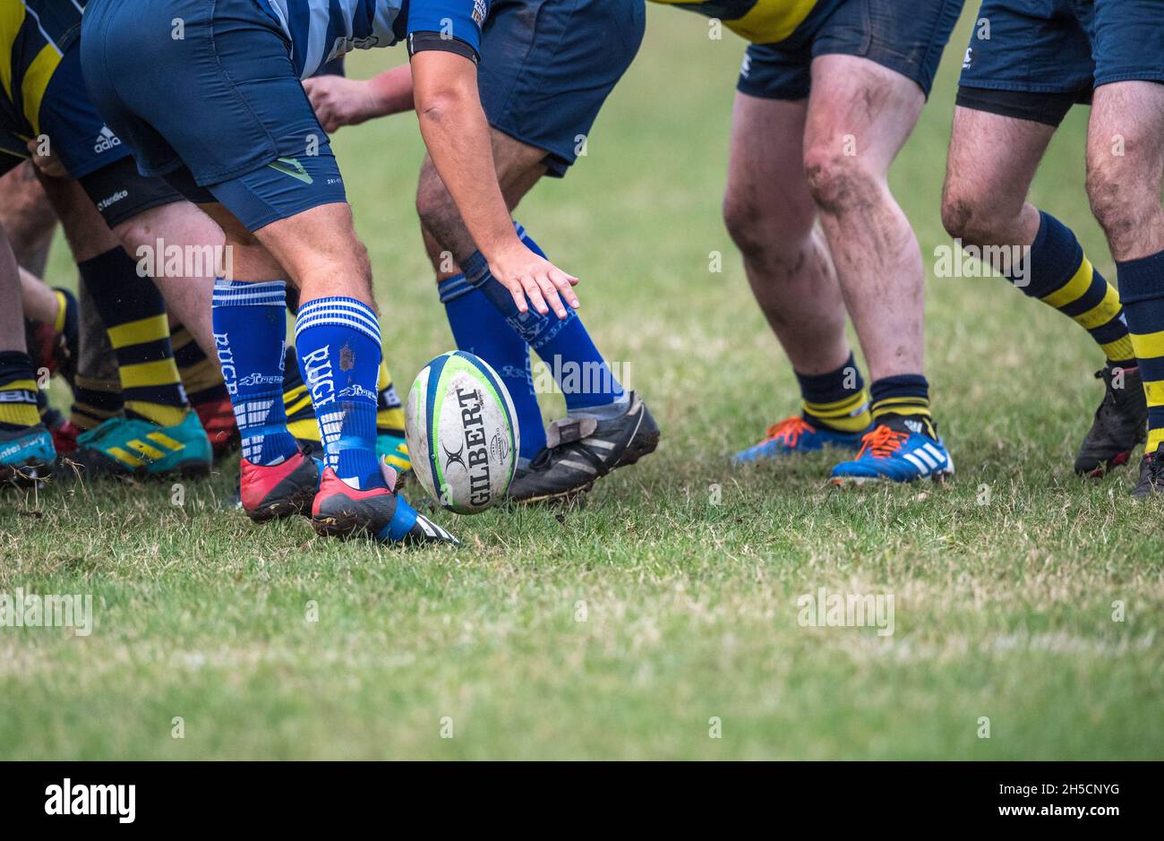 Amateur-Rugby-Union-Spieler, die in einem Ligaspiel spielen. Stockfoto