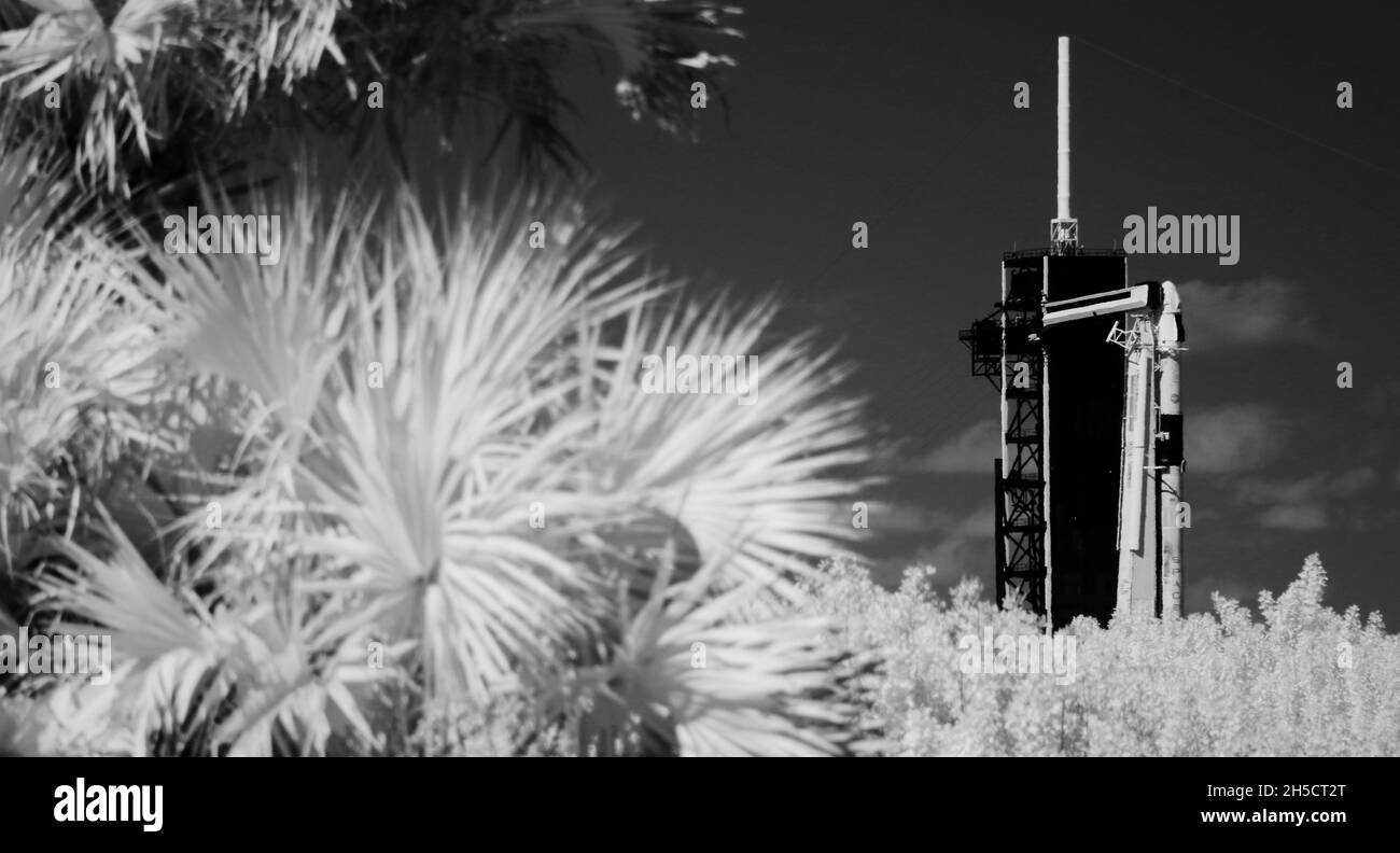 Cape Canaveral, Vereinigte Staaten von Amerika. 31. Oktober 2021. Eine schwarz-weiße Infrarotaufnahme der SpaceX Falcon 9 Rakete mit der Raumsonde Crew Dragon für die NASA SpaceX Crew-3 Mission zur Internationalen Raumstation setzt die Vorbereitungen für den Launch Complex 39A im Kennedy Space Center am 31. Oktober 2021 in Cape Canaveral, Florida fort. Die Crew der NASA-Astronauten Raja Chari, Tom Marshburn, Kayla Barron und Matthias Maurer, Astronaut der Europäischen Weltraumorganisation, wird voraussichtlich am 10. November starten. Quelle: Joel Kowsky/NASA/Alamy Live News Stockfoto