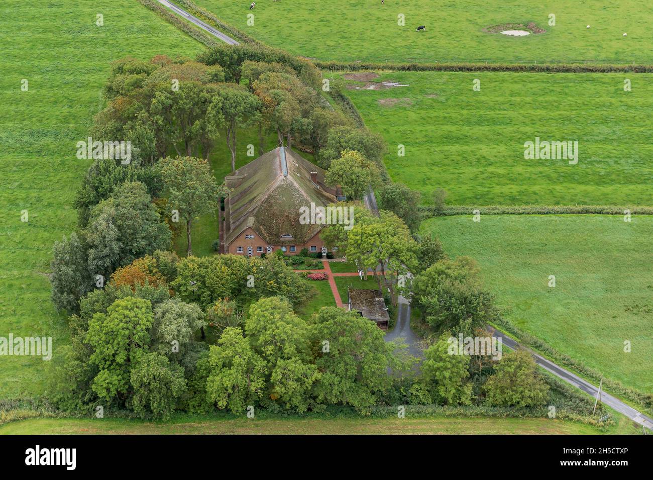 Bauernhof, Haubarg, Drohnenbild, Deutschland, Schleswig-Holstein Stockfoto