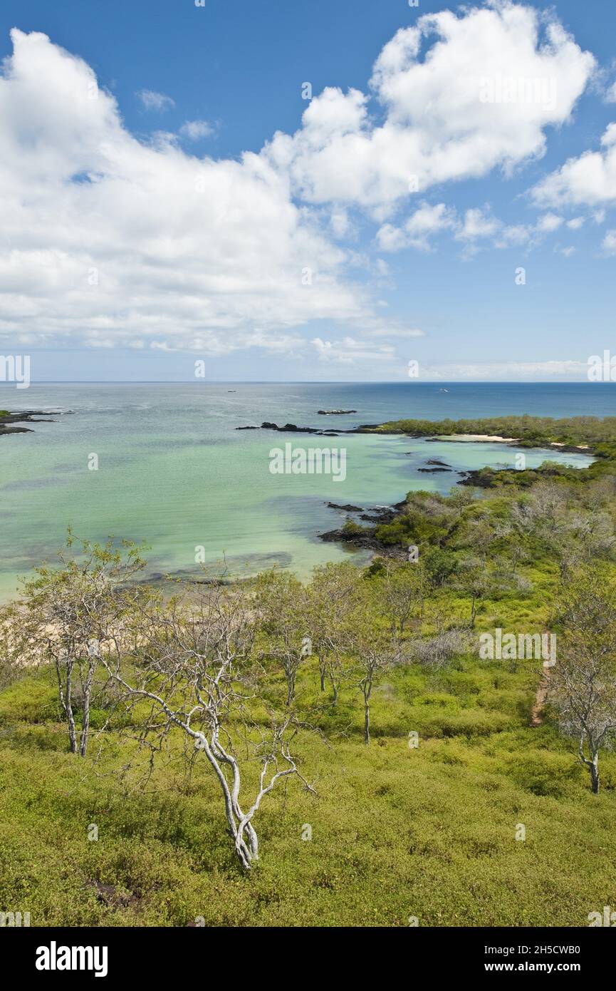 Kleine Bucht in der Nähe von Post Office Bay, Ecuador, Galapagos Inseln, Isla Santa Maria Stockfoto