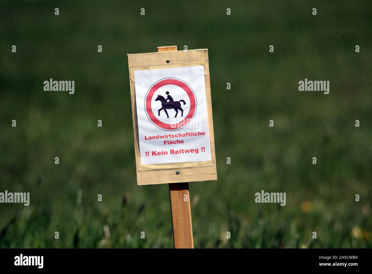 Verbotsschild für Reiten auf landwirtschaftlichen Flächen, Deutschland Stockfoto