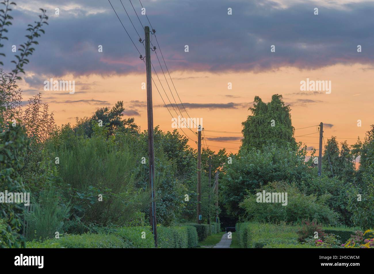Abend im Schottergarten Hirtenweg-Hirtengrund, Deutschland, Hamburg, Altona Stockfoto