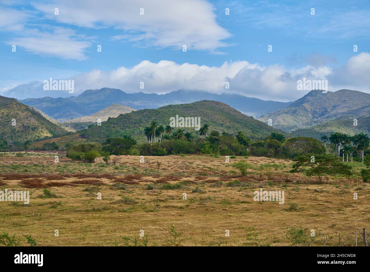 Geerntete Felder und entwaldete Hügel im Valley de los Ingenios, Kuba, Sancti Spiritus, Valley de los Ingenios Stockfoto