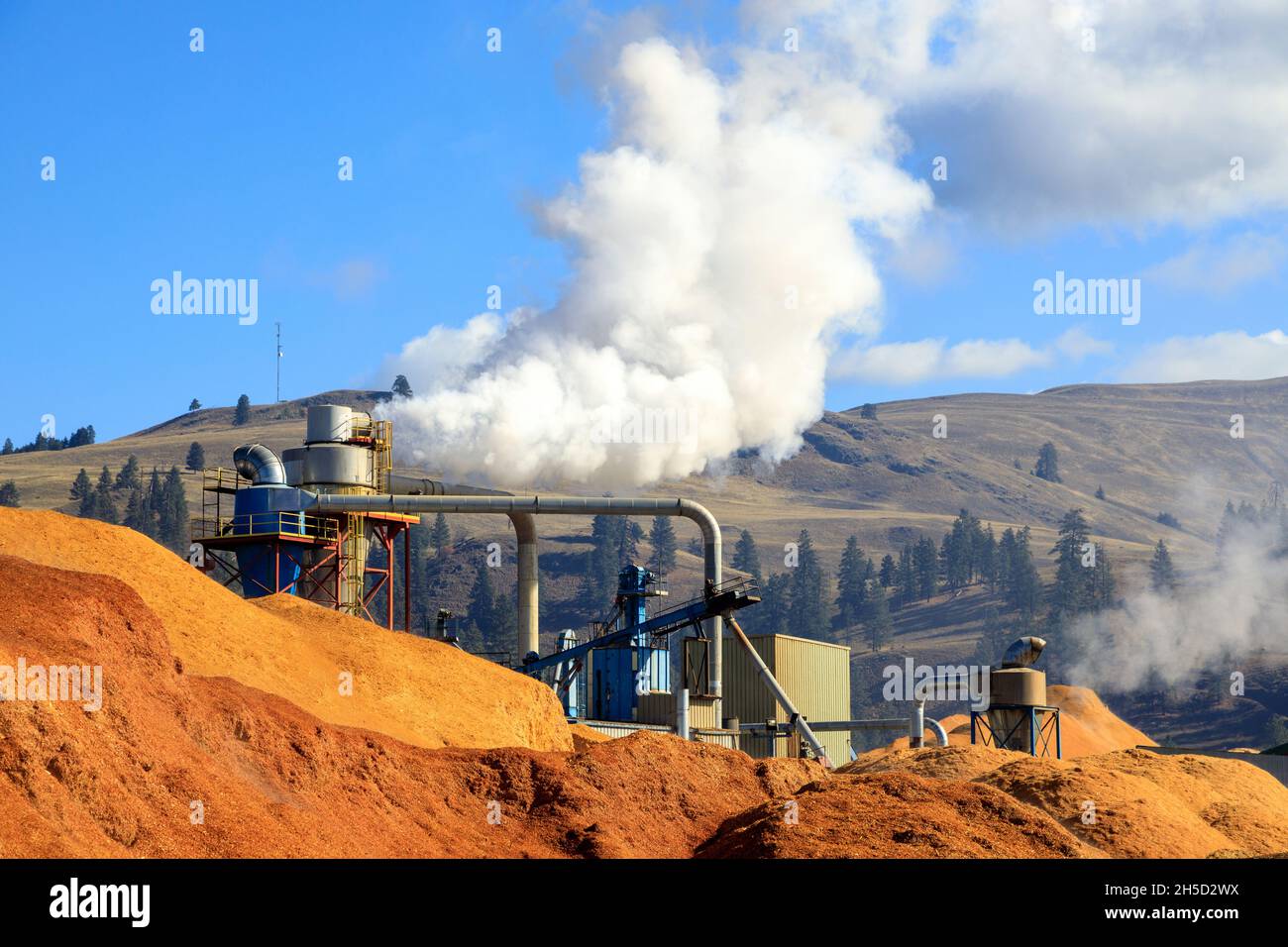 Stapel von Hackschnitzeln, die zu Holzpellets hergestellt werden, sind ein Nebenprodukt der Holzindustrie und eine nachwachsende Ressource. Stockfoto