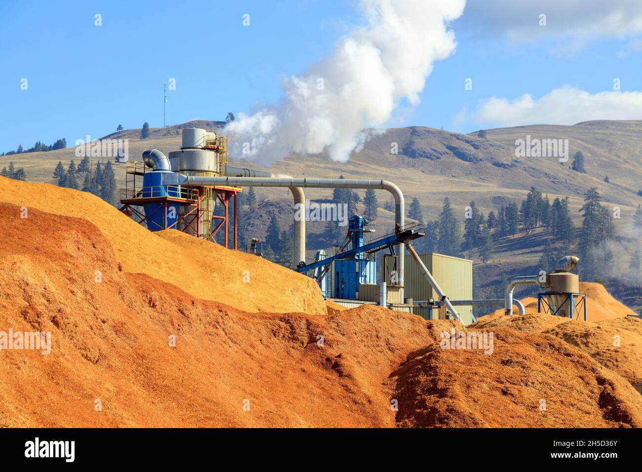 Stapel von Hackschnitzeln, die zu Holzpellets hergestellt werden, sind ein Nebenprodukt der Holzindustrie und eine nachwachsende Ressource. Stockfoto