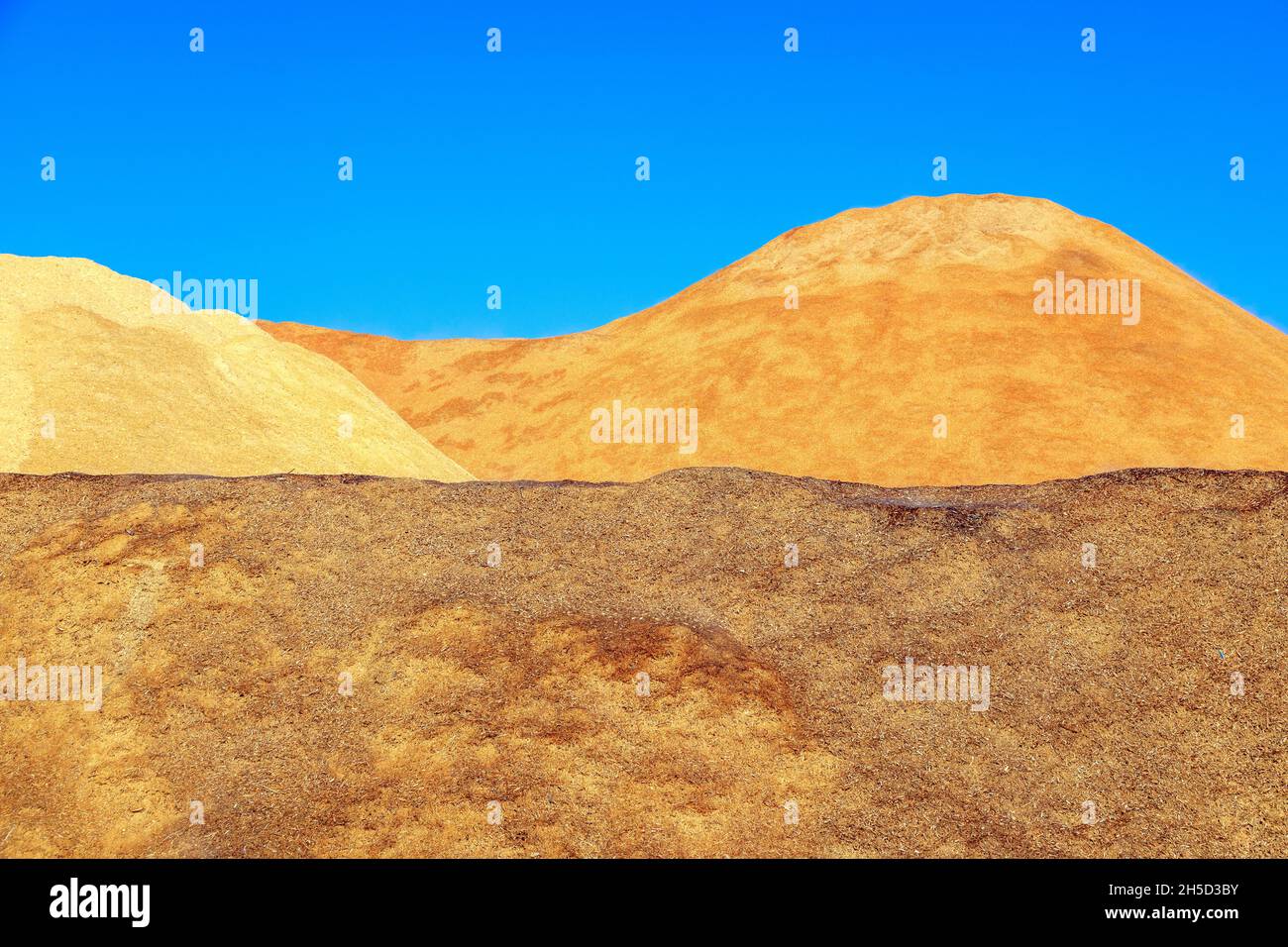 Stapel von Hackschnitzeln, die zu Holzpellets hergestellt werden, sind ein Nebenprodukt der Holzindustrie und eine nachwachsende Ressource. Stockfoto