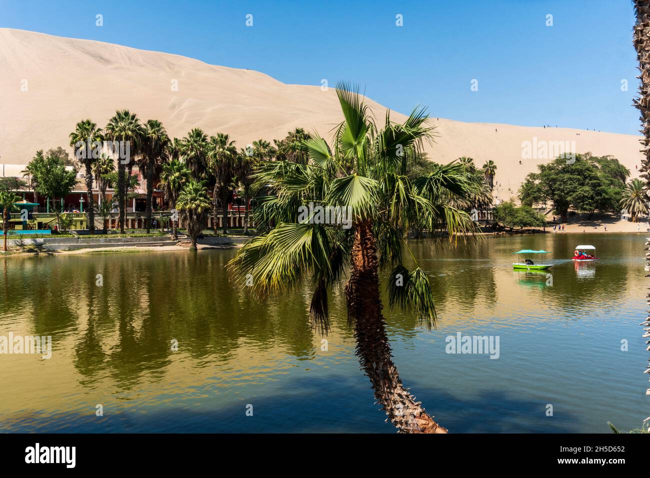 Das regionale Naturschutzgebiet Laguna de Huacachina, Ica, Peru Stockfoto