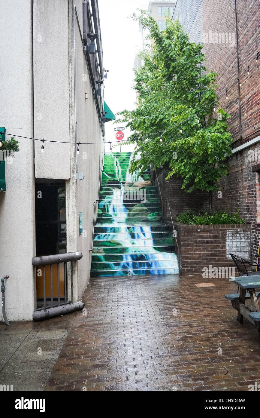 Bunte Stufen in Asheville, NC Alley mit bunten Stufen Stockfoto