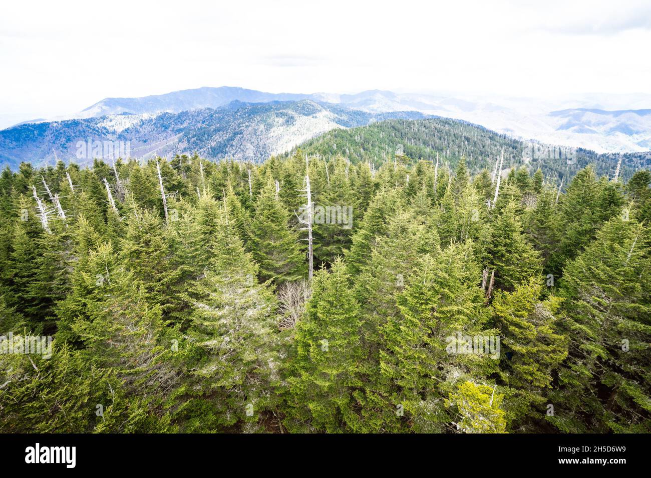 Eine wunderschöne Aussicht auf die Great Smoky Mountains vom Clingmans Dome aus Stockfoto
