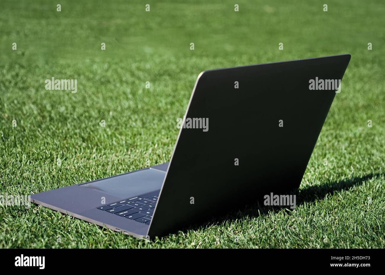 Laptop auf grünem Gras. Agiles Business. Fernlernkonzept. Immer online verfügbar. Arbeiten im Frischluftpark. Computer auf Rasen. Modern Stockfoto