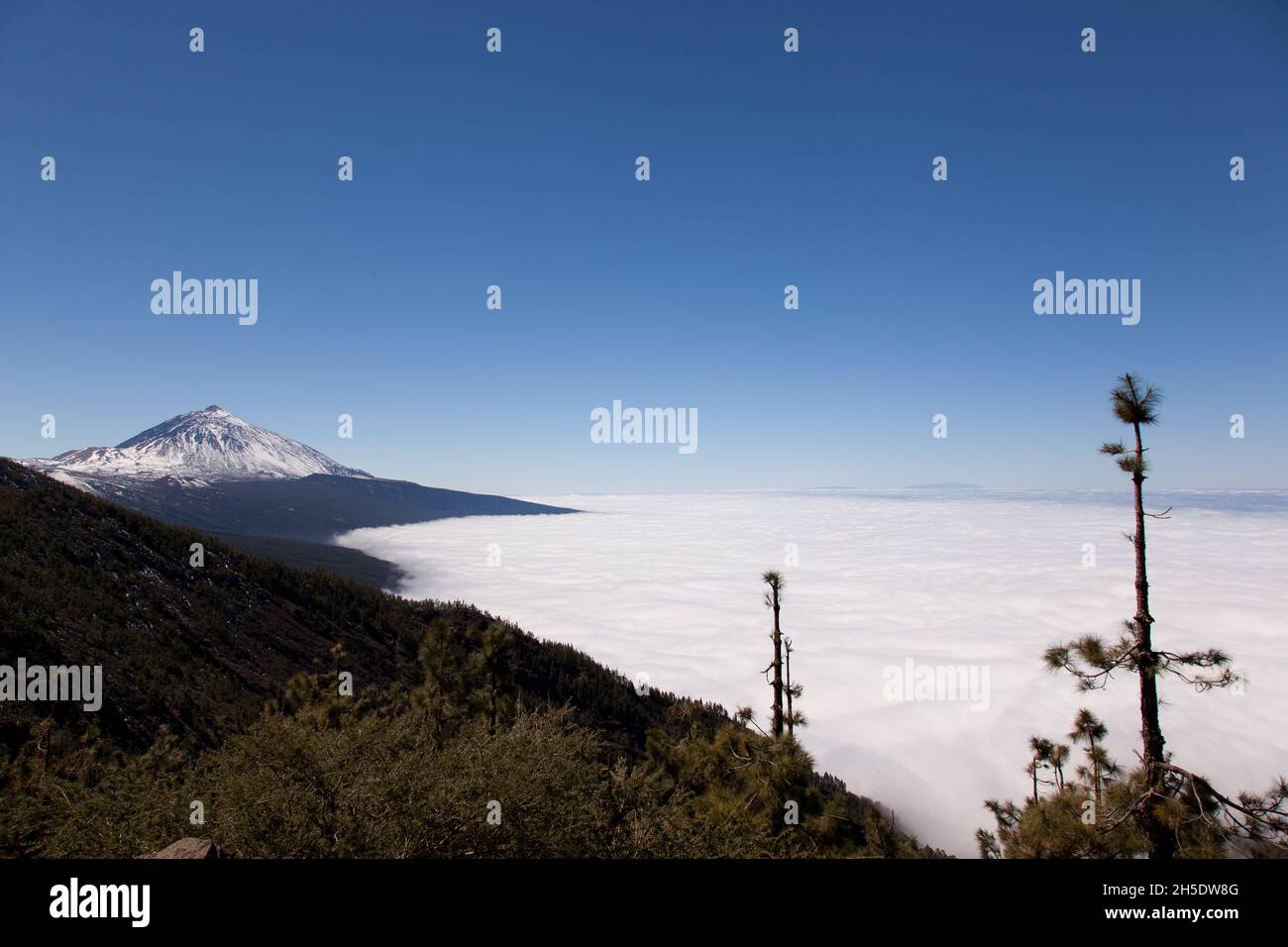 Naturpark Corona Forestal in Spanien Stockfoto