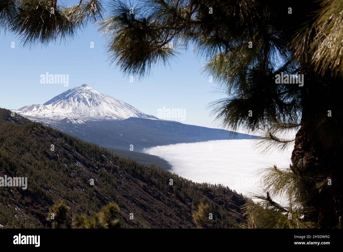 Naturpark Corona Forestal in Spanien Stockfoto
