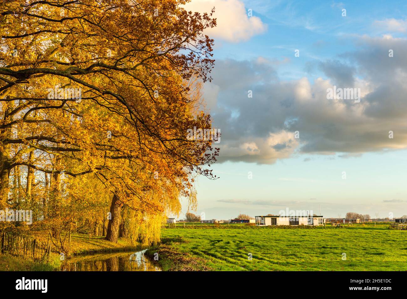 Goldgelbe Bäume im Herbst bei Landgoed Huys in Warmond und Hausboote bei den Kagerplassen in der Stadt Warmond in den Niederlanden. Stockfoto
