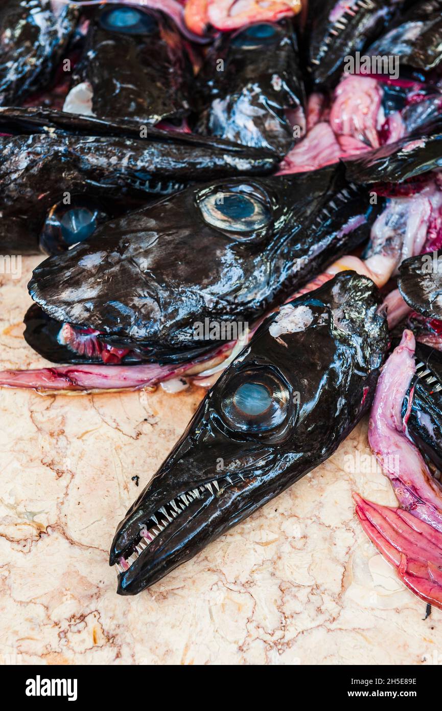 Schwarze Scheide auf dem Fischmarkt Stockfoto