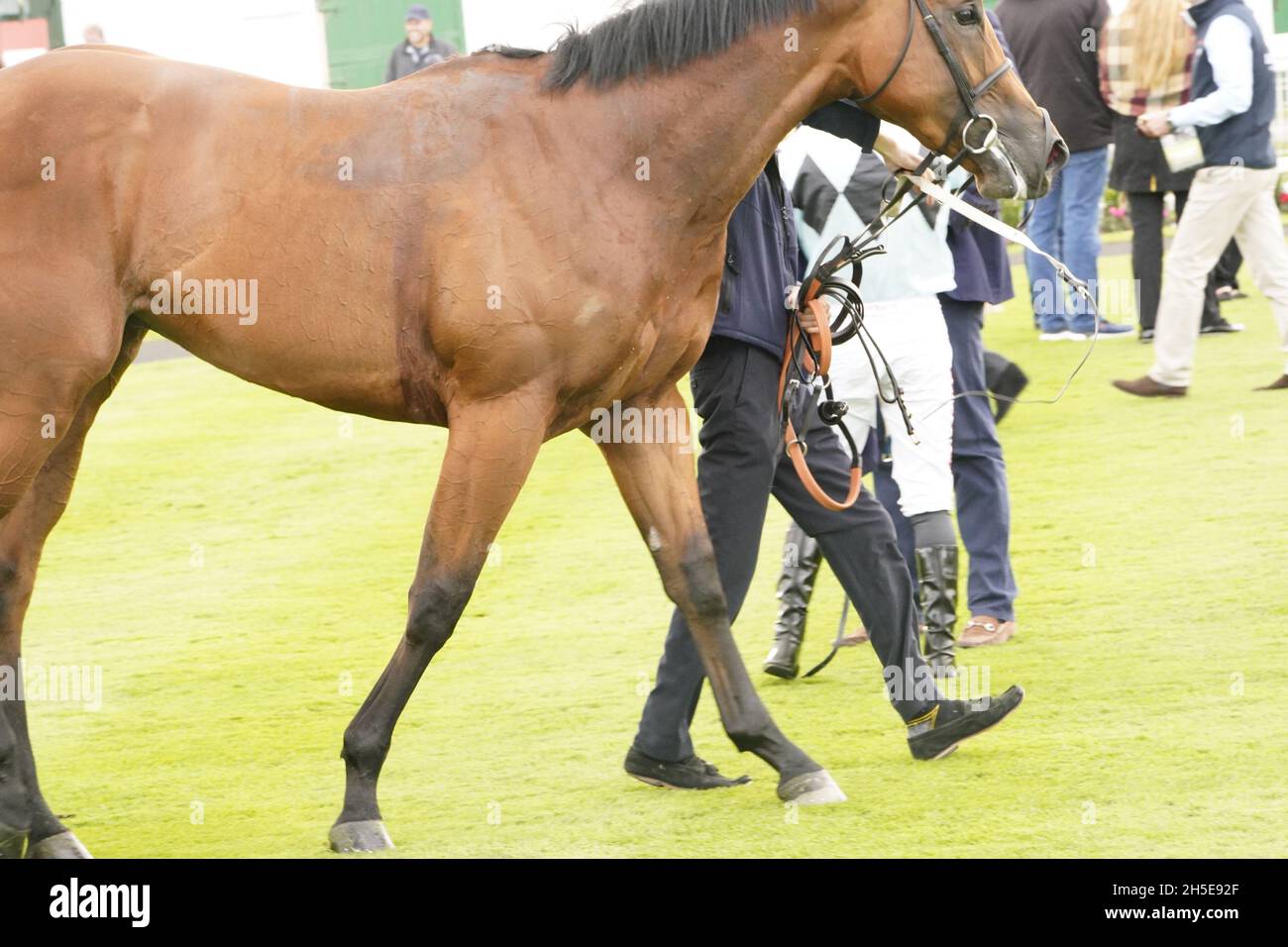 Geschmack der Atmosphäre und Nervenkitzel eines Tages bei den Rennen mit der Menge und den Pferden Stockfoto