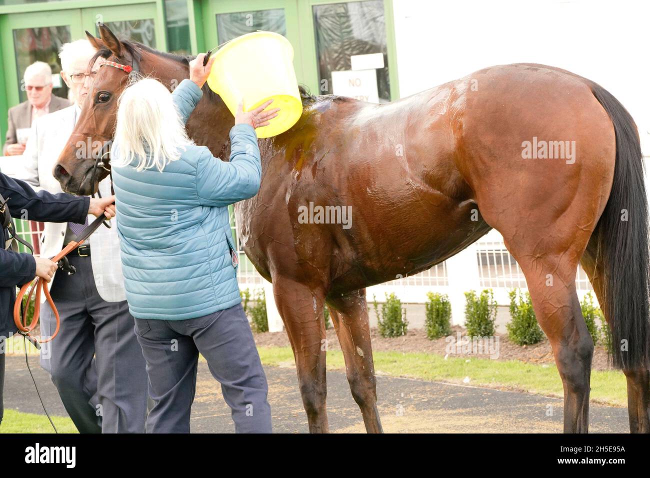 Geschmack der Atmosphäre und Nervenkitzel eines Tages bei den Rennen mit der Menge und den Pferden Stockfoto
