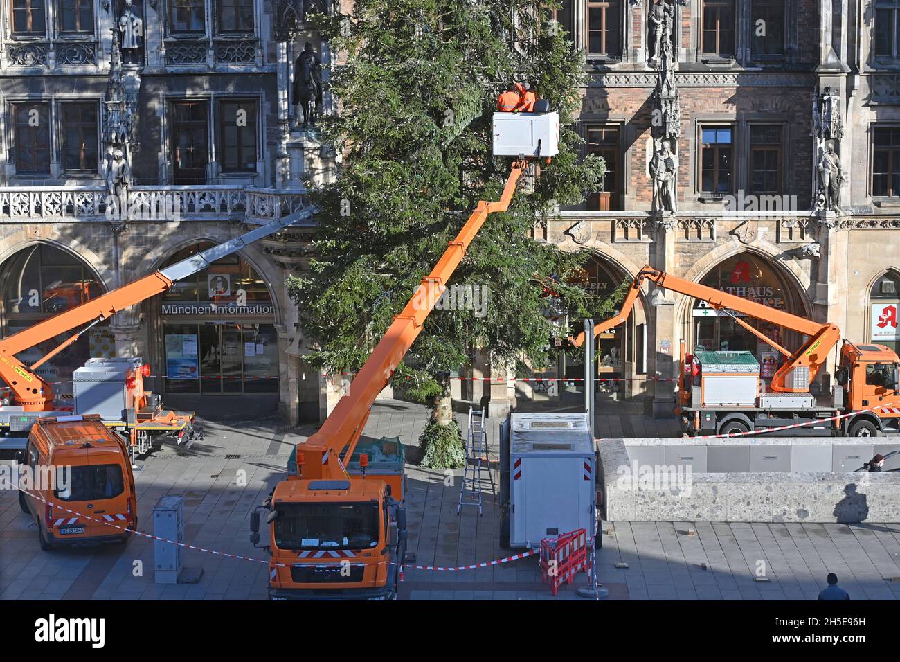Arbeiter auf einer Hebebühne befestigen die Weihafterts-Beleuchtung am Weihaftertsbaum. Bau des Weihnachtsmarktes am Marienplatz in München am 9. November 2021. Stockfoto