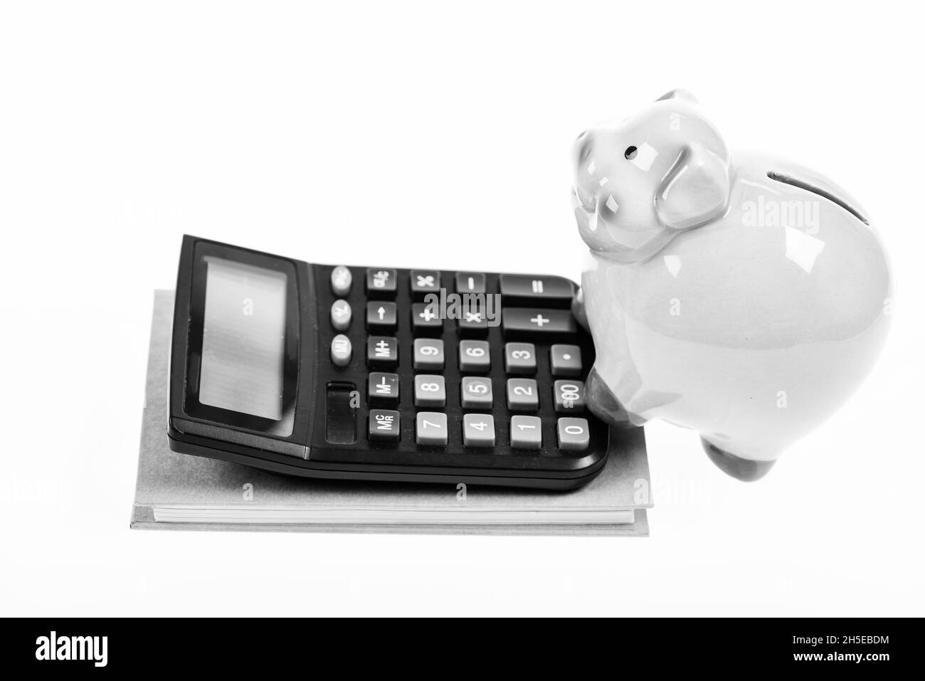 Spargeld bei Sparschweinen. Sparschwein rosa Schwein und Rechner. Wechselkurse. Wirtschaft und Betriebswirtschaft. Kreditschuldenkonzept. Wirtschaft Stockfoto