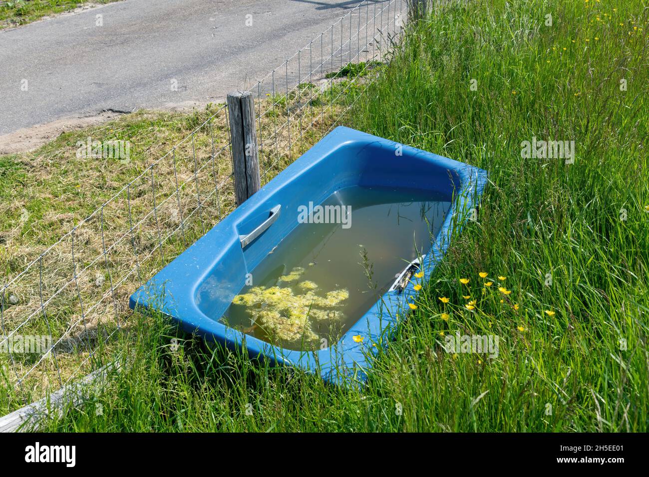 Hochwinkelansicht einer halb mit Wasser gefüllten blauen Badewanne gegen den Zaun im Grasland oder auf der Wiese, die anscheinend als Wasserwanne für Vieh genutzt wird Stockfoto