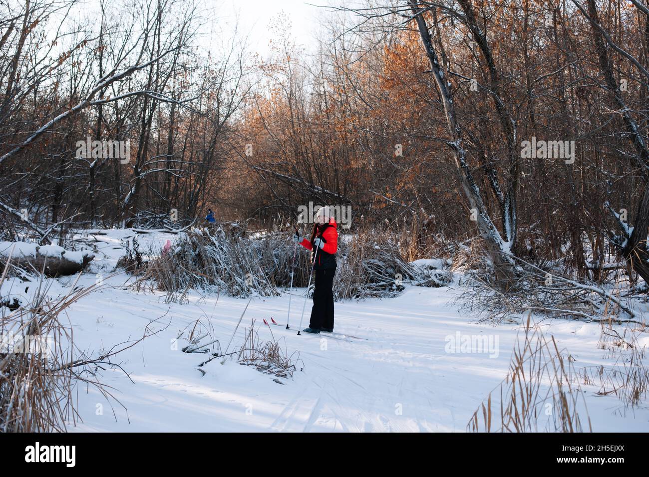 Junge Frau steht im Wald. Brunette in warmer Kleidung Skifahren auf verschneiten Trail am sonnigen Wintertag Stockfoto