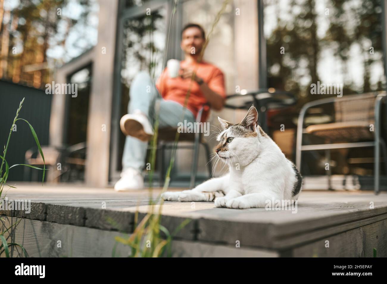 Katze auf der Veranda liegend und Mann, der Tee trinkt Stockfoto