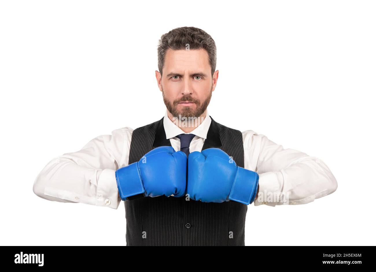 Zuversichtlich Geschäftsmann in Boxhandschuhe isoliert auf weißem Hintergrund, Boxen Stockfoto