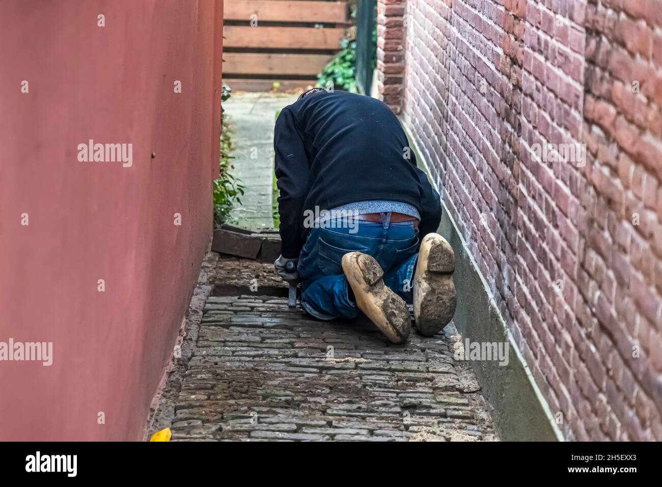 Holländisches Pflasterunternehmen, das den Weg eines Hinterhofs mit Ziegelsteinen in Zutphen, Niederlande, umstellt Stockfoto
