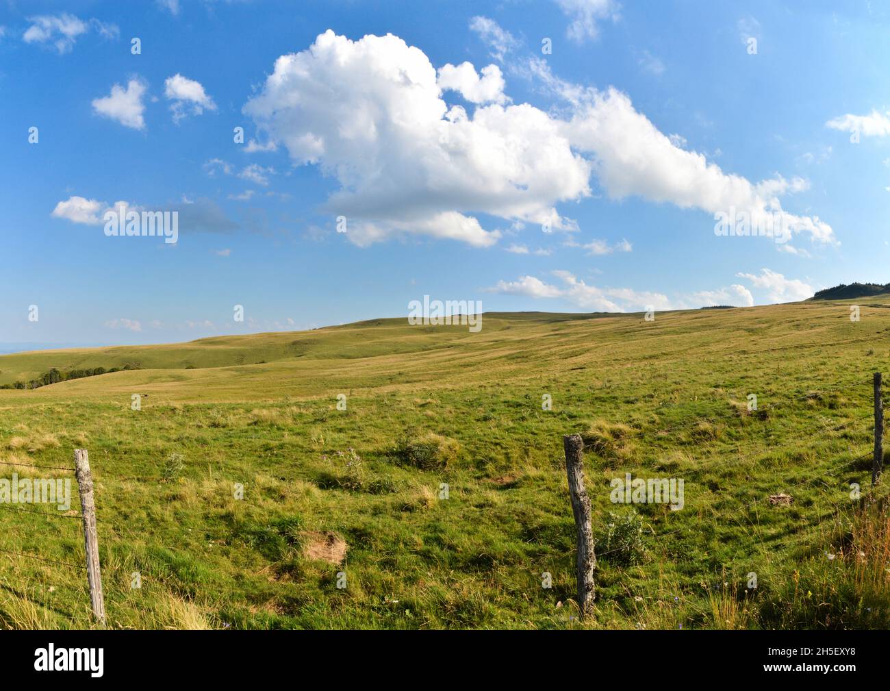 Eine schöne grüne Landschaft mit einer Wiese auf einem Berg im Sommer in der Auvergne. Stockfoto