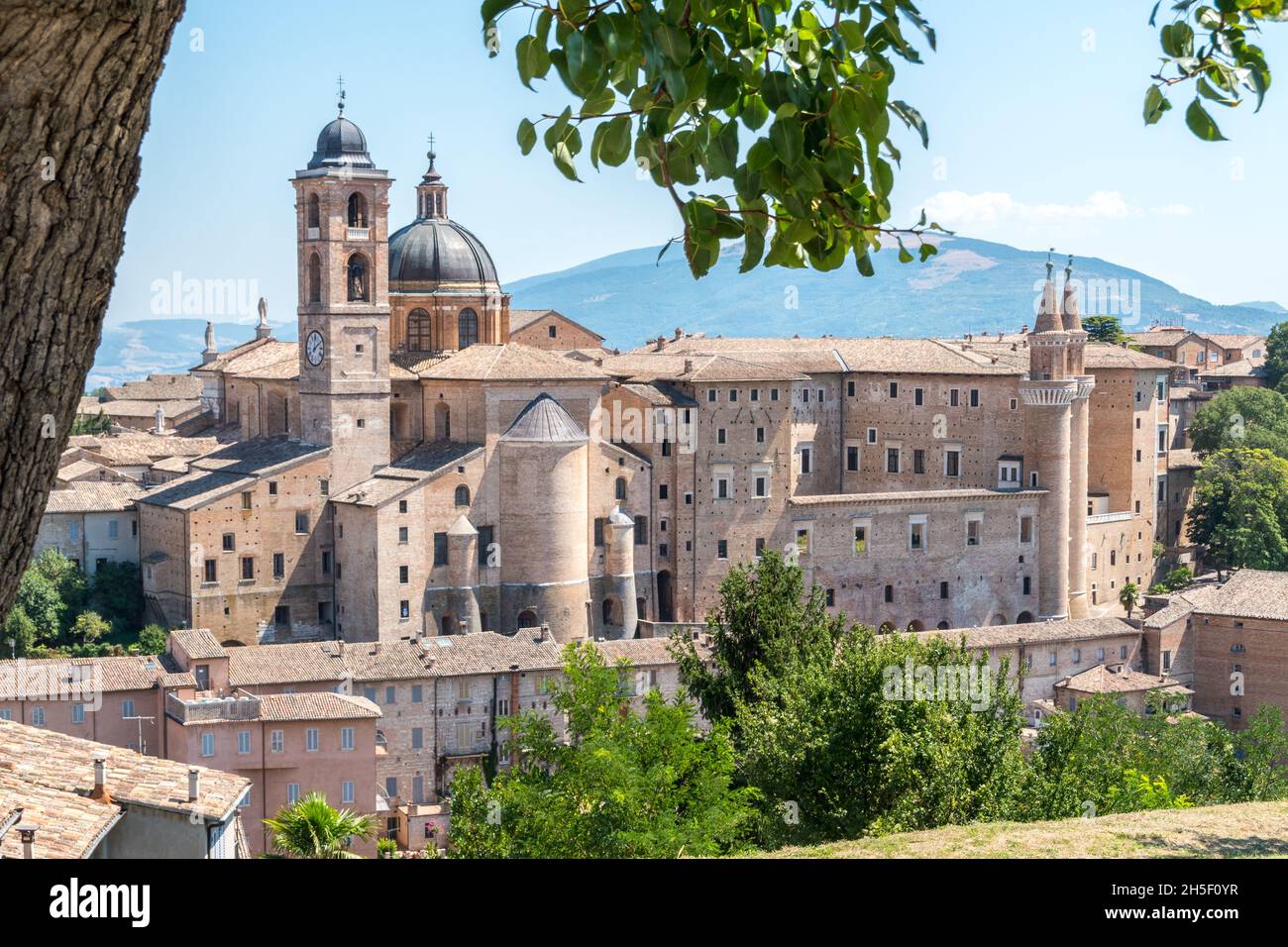 Wahrzeichen Italiens, Panoramablick auf die Stadt Urbino mit Palazzo Ducale und Kathedrale von der Festung Albornoz, UNESCO-Stätte. Marken, Italien, Europa Stockfoto
