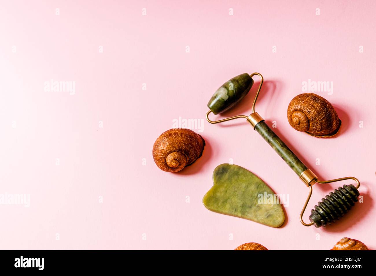 Weicher rosafarbener Hintergrund mit Muschelschalen und Jade-Gesichtsmassagern. Stockfoto