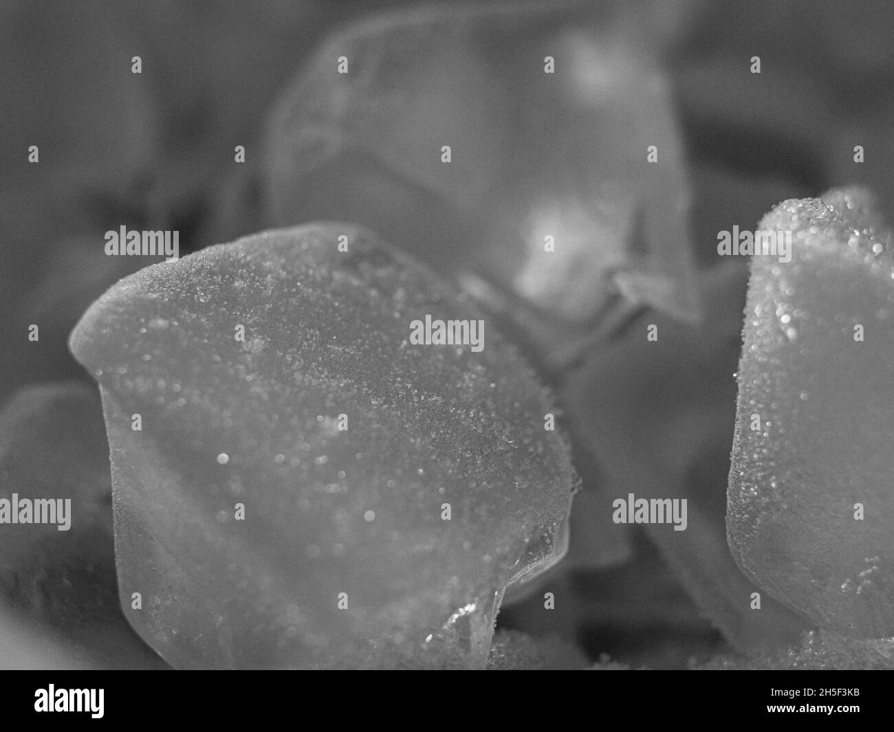 Nahaufnahme von Eiswürfeln, die mit Frost bedeckt sind Stockfoto