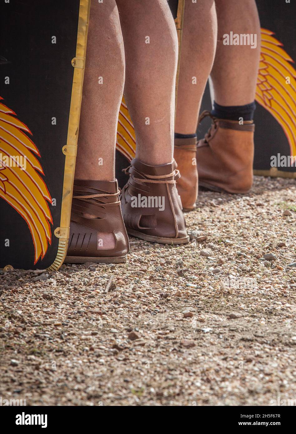 Römische Legionäre in Formation. Scuta oder Schilde auf dem Boden. Schwache Adlerflügel- und Donnerschlag-Motive auf der Skuta Stockfoto