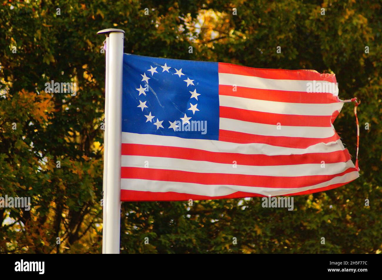 Die Betsy Ross Flagge fliegt in einem Schrebergarten. Stockfoto