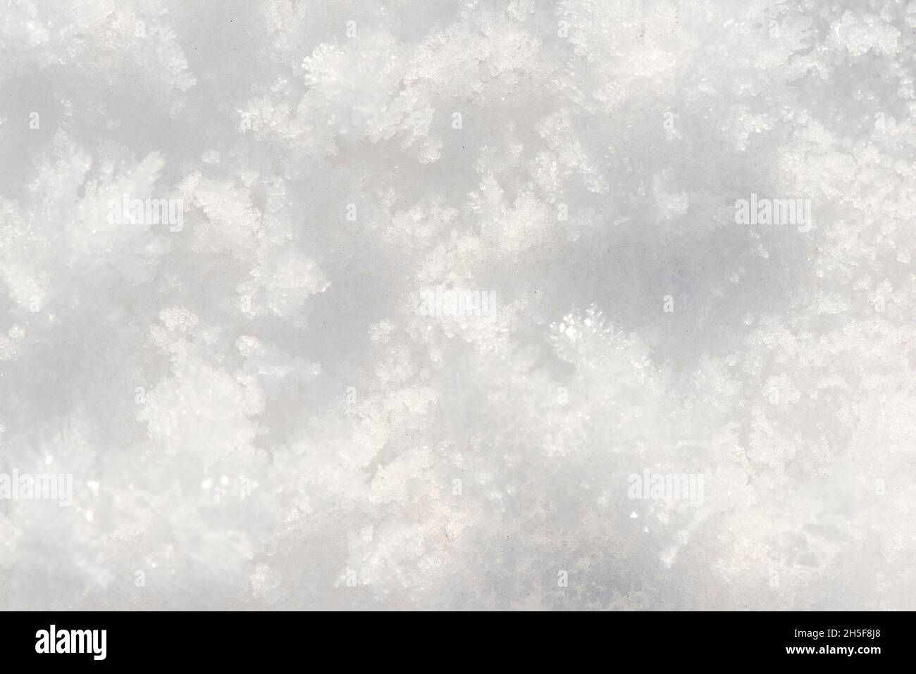 Oberfläche von weißem Pulverschnee Stockfoto