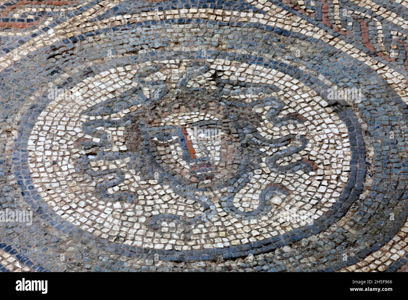 England, Isle of Wight, Brading Roman Villa, der Leiter des Medusa Mosaic Stockfoto