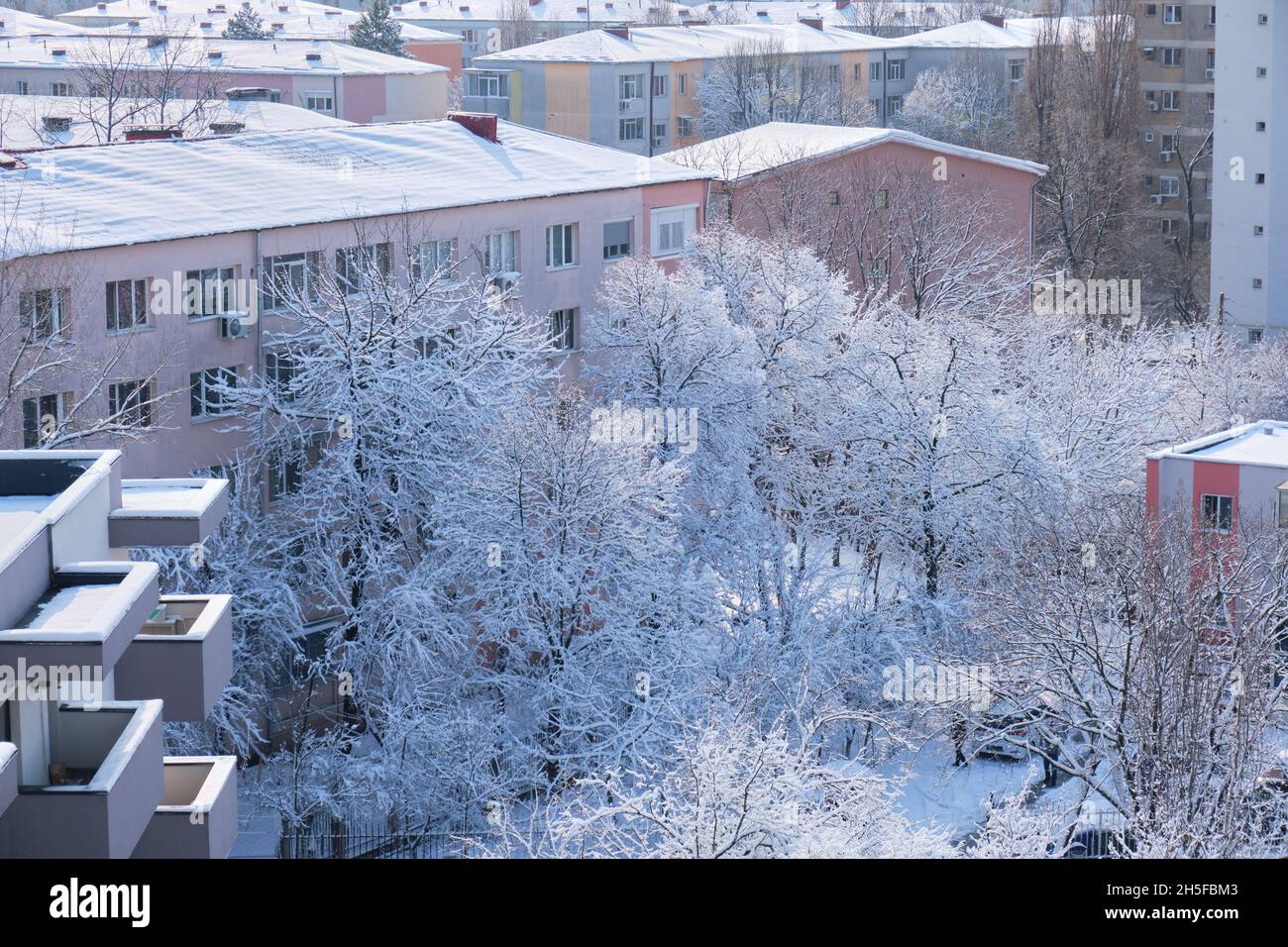 Neuschnee auf Ästen und Wohndächern in Bukarest, Rumänien. Städtischer Winter in Europa. Stockfoto