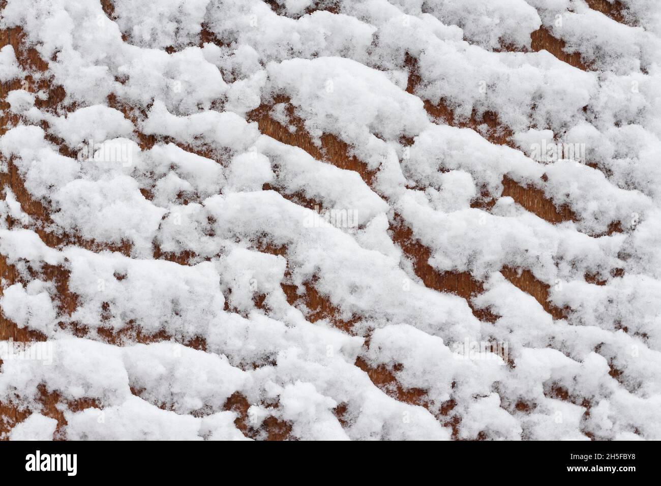 Holz- Hintergrund mit Schnee bedeckt Stockfoto