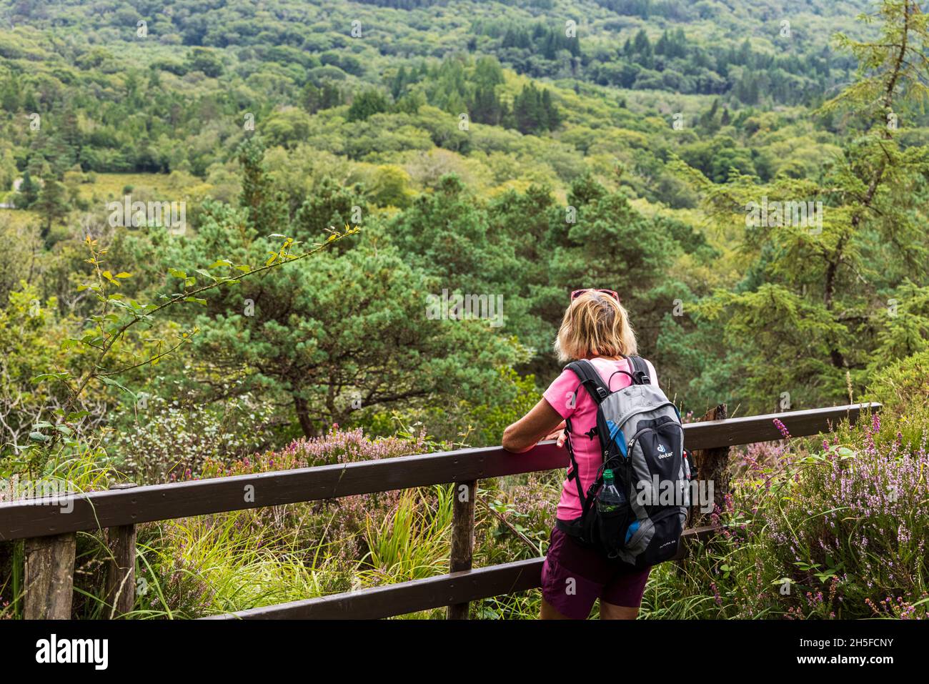 Wandererin mit Rucksack an einem Aussichtspunkt im Glengarriff Woods Nature Reserve, Glengarriff, County Cork, Irland Stockfoto