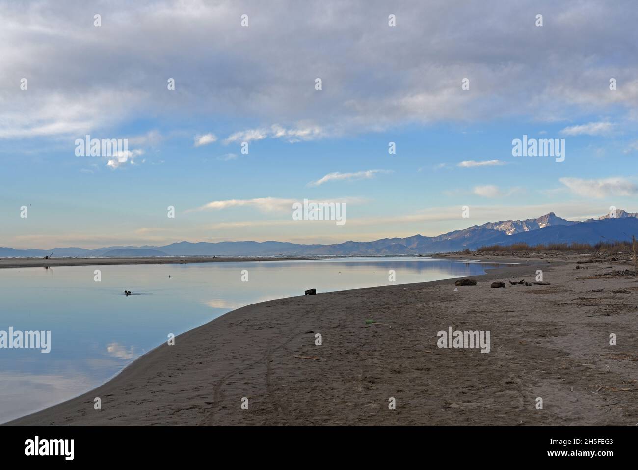 Winter. Am rechten Ufer des Flusses Serchio, in der Toskana, Italien, in der Nähe der Mündung. Im Hintergrund die Apuanischen Alpen. Stockfoto