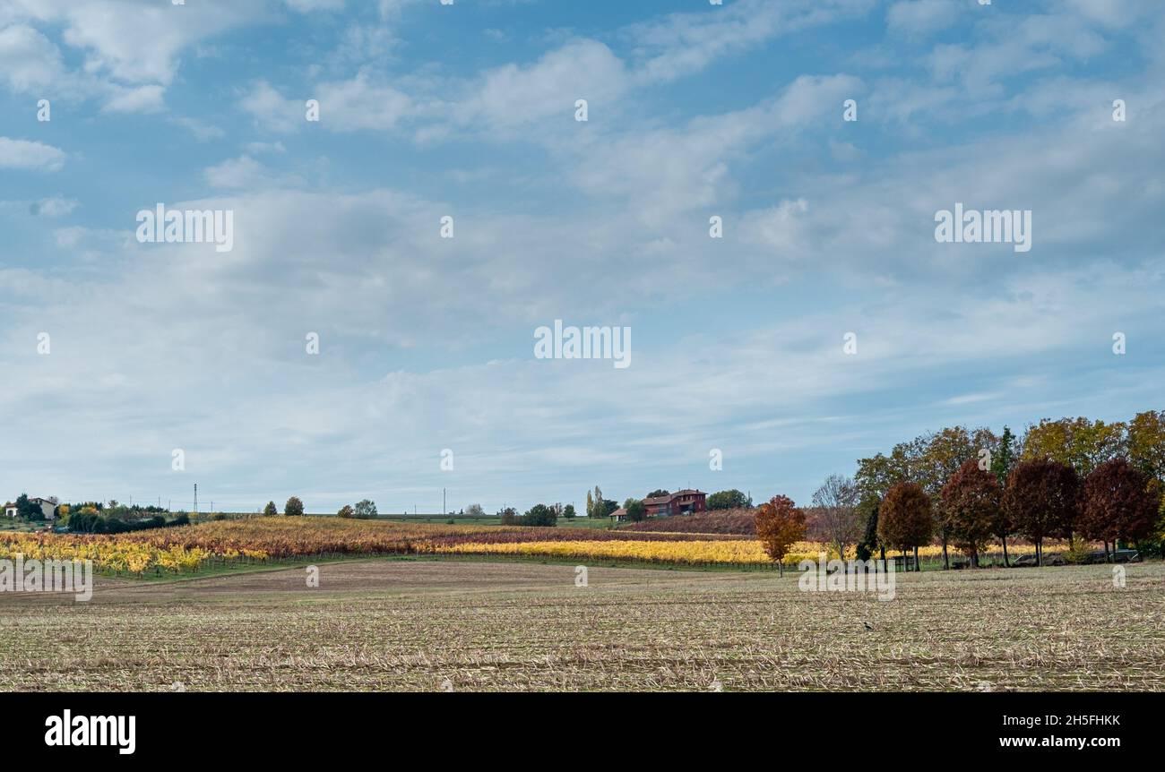 Herbstliche Weinberge und geerntete Maisfelder auf den sanften Hügeln der Landschaft von Bologna. Crespellano, Provinz Bologna, Emilia-Romagna, Italien Stockfoto