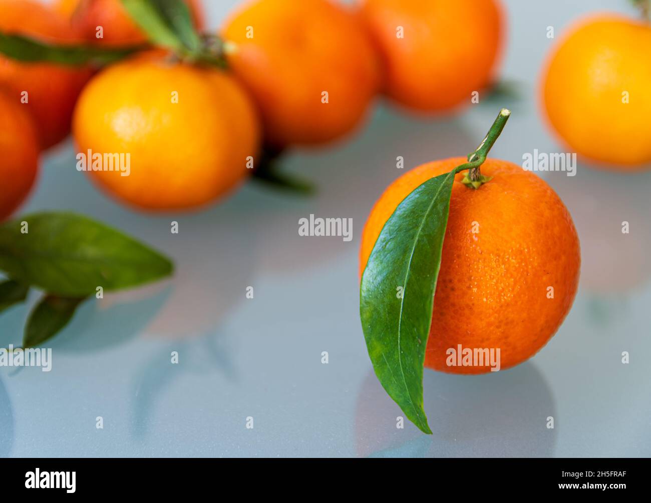 mandarine-Früchte mit Blättern, die auf reflektierender Oberfläche liegen. Selektiver Fokus auf Vordergrundfrucht Stockfoto